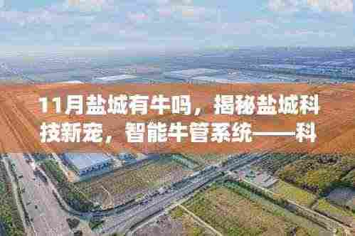 盐城智能牛管系统揭秘,科技之光重塑牛业,开启生活新篇章