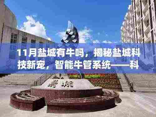 盐城智能牛管系统揭秘,科技之光重塑牛业,开启生活新篇章