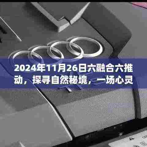 六融合六推动心灵之旅启程,探寻自然秘境的启程日(2024年11月26日)