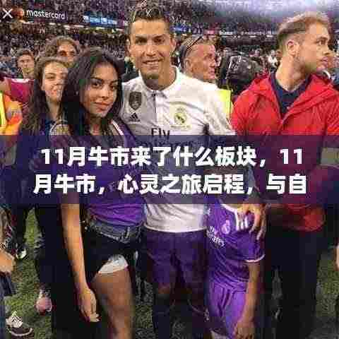 11月牛市，启程心灵之旅，探寻板块潜力与自然美景的不解之缘