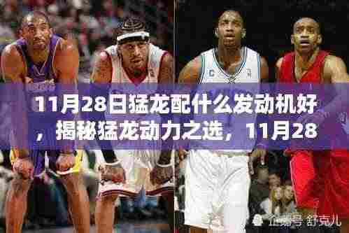 揭秘猛龙发动机配置，动力之选探讨，11月28日猛龙最佳发动机搭配解析