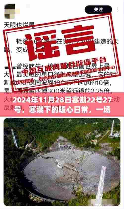 寒潮下的暖心日常,一场不期而遇的冬日趣事,记录于2024年11月28日