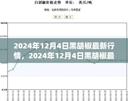 2024年12月4日黑胡椒行情深度分析,最新市场动态揭秘