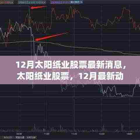 太阳纸业股票动态,行业地位探析及最新消息
