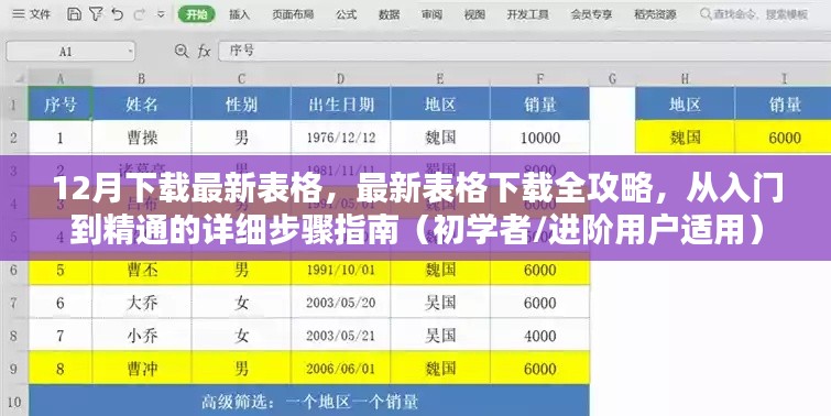 最新表格下载全攻略,从入门到精通的步骤指南(适合初学者与进阶用户)