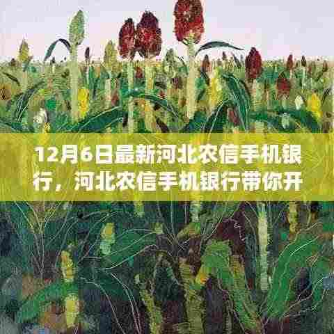 河北农信手机银行,心灵之旅启程,探索自然美景与内心艺术之旅