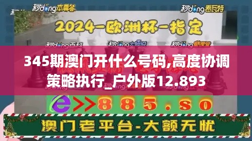 345期澳门开什么号码,高度协调策略执行_户外版12.893
