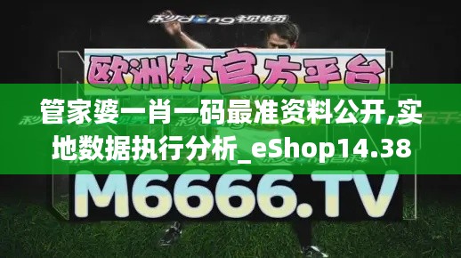 管家婆一肖一码最准资料公开,实地数据执行分析_eShop14.381