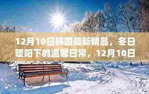 韩国温馨日常，冬日暖阳下的精品故事（12月10日）