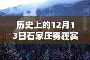 娇小玲珑 第5页