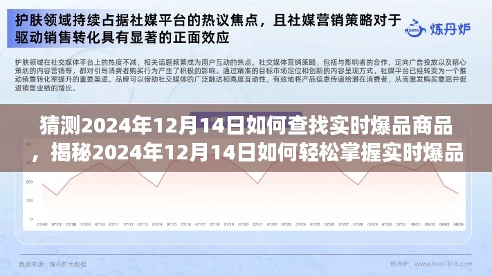 小红书攻略揭秘,掌握实时爆品动向,洞悉市场趋势,轻松预测爆品商品动向(2024年12月14日指南)
