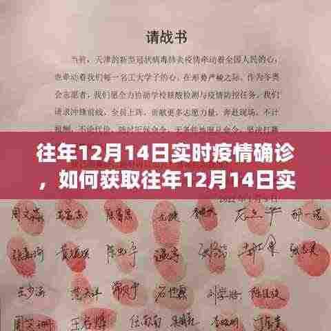 往年12月14日疫情实时确诊信息获取指南,详细步骤解析