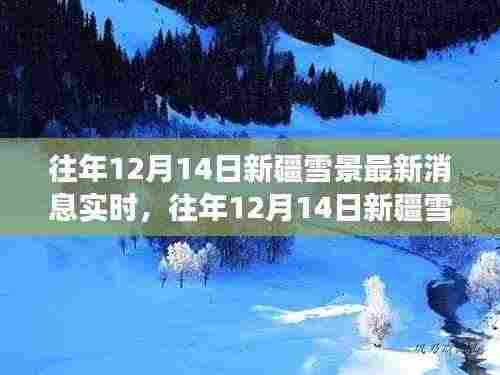 往年12月14日新疆雪景深度解析,视觉盛宴背后的影响与深思