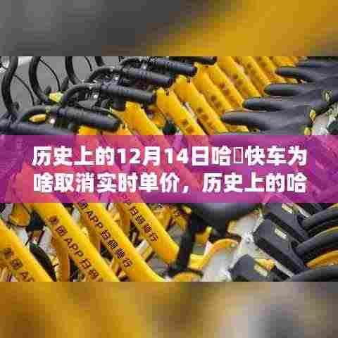 历史上的哈啰快车取消实时单价背后的原因解析,为何在十二月十四日做出这一决策?