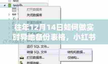 小红书分享,往年12月14日实时异地备份表格攻略,保障数据安全无忧!