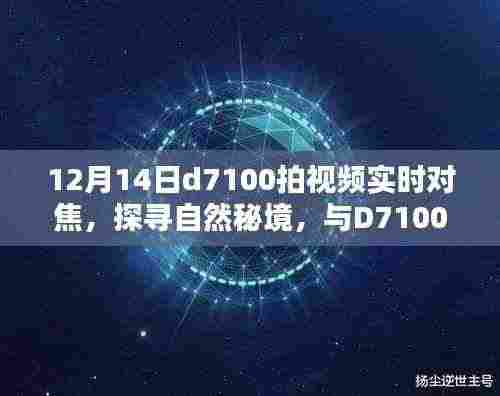 D7100探寻自然秘境,视频实时对焦捕捉内心的宁静