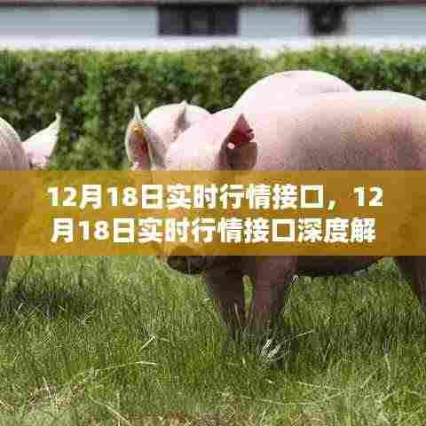12月18日实时行情接口深度解析与实时数据获取指南