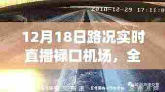 12月18日禄口机场路况实时直播,全面解读
