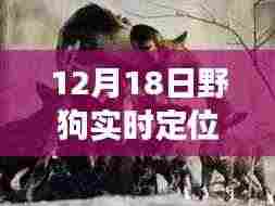 野狗导航,探索自然秘境的心灵之旅,实时定位开启远离尘嚣之旅