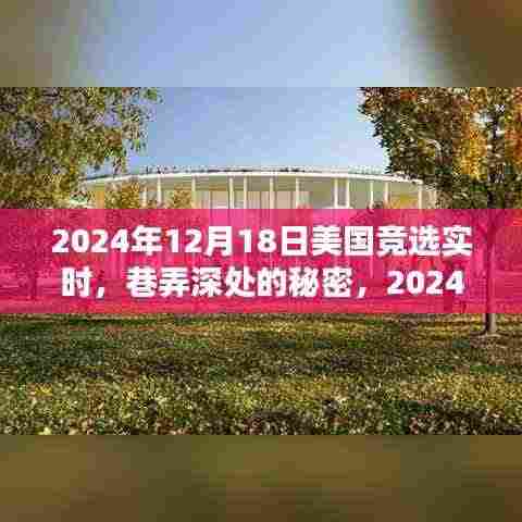 巷弄深处的秘密,2024年美国竞选日下的独特小店探秘实录