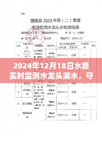水龙头漏水事件,实时监测守护水质安全,启示与纪实(2024年)