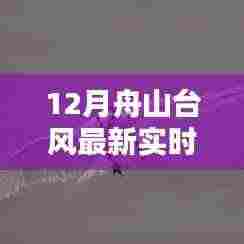 科技赋能生活，舟山台风最新实时智能监测系统全新升级报告