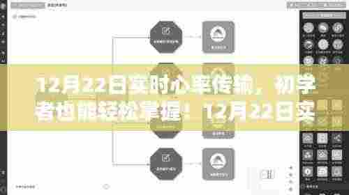 初学者轻松掌握，12月22日实时心率传输步骤详解