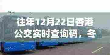 冬日暖阳下的公交奇遇，香港公交实时查询码的故事