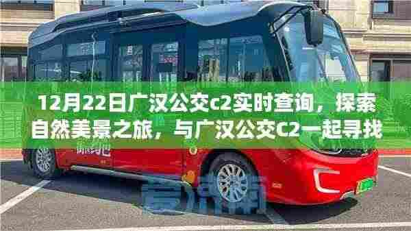 芳兰竟体 第4页