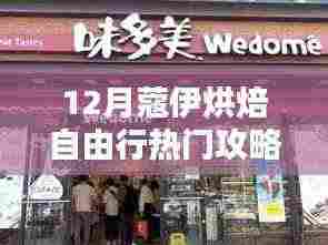 独家揭秘,12月蔻伊烘焙自由行终极攻略,深度评测与详细介绍