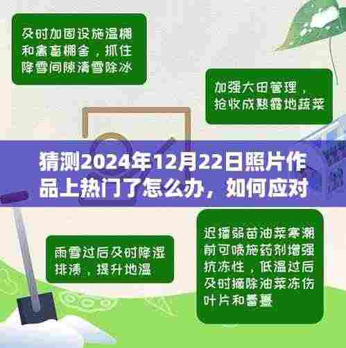 如何应对摄影作品在特定日期（2024年12月22日）走红，策略与建议