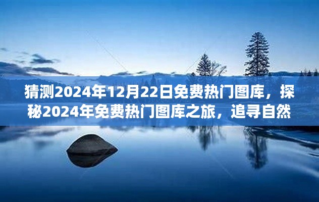 探秘未来热门图库之旅,追寻自然美景,重燃内心宁静与平和的启示(2024年预测)