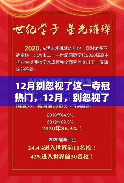 12月新星璀璨崛起，探寻夺冠热门之星领域地位与崛起之路