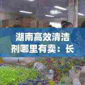 半截鸟木 第4页