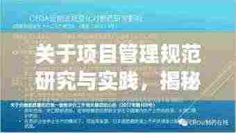 关于项目管理规范研究与实践，揭秘22163项目的成功之道