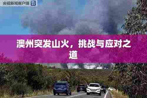 澳州突发山火,挑战与应对之道