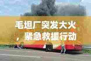 毛坦厂突发大火,紧急救援行动迅速启动,现场情况如何?