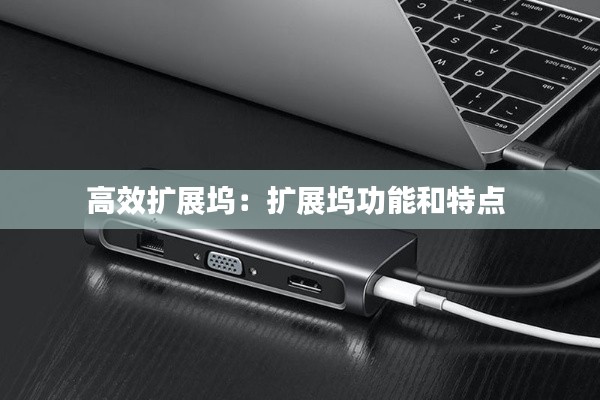 高效扩展坞：扩展坞功能和特点 