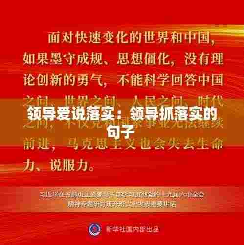 领导爱说落实：领导抓落实的句子 