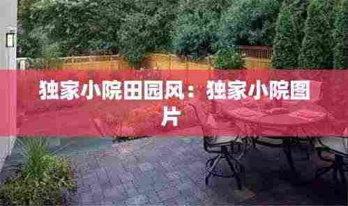 独家小院田园风:独家小院图片