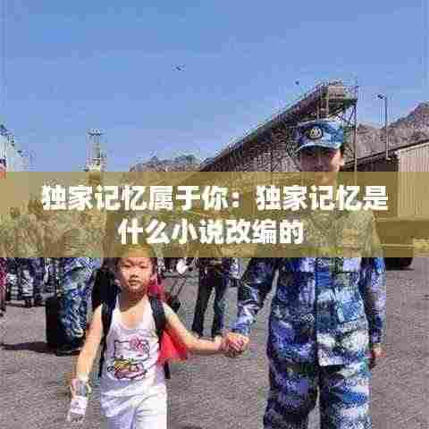 独家记忆属于你:独家记忆是什么小说改编的