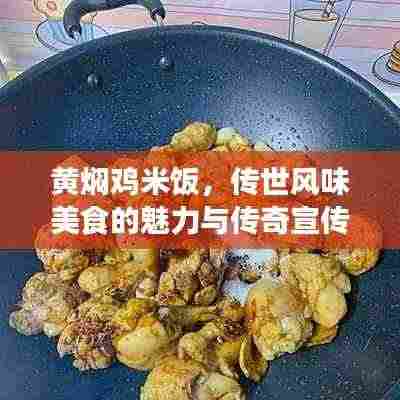 黄焖鸡米饭,传世风味美食的魅力与传奇宣传!
