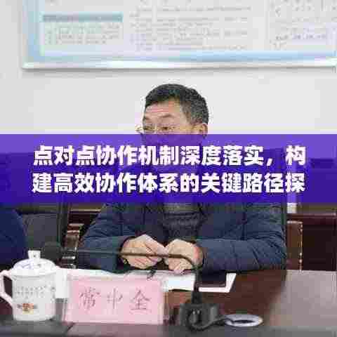 点对点协作机制深度落实,构建高效协作体系的关键路径探索