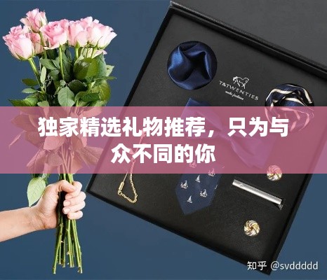 独家精选礼物推荐，只为与众不同的你