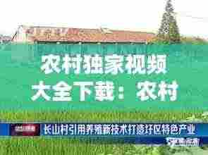 农村独家视频大全下载：农村视频排行榜 