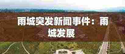 雨城突发新闻事件：雨城发展 