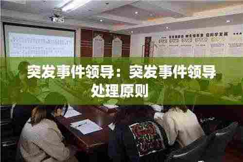 突发事件领导：突发事件领导处理原则 