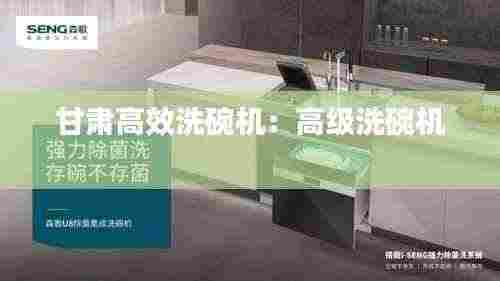 甘肃高效洗碗机:高级洗碗机