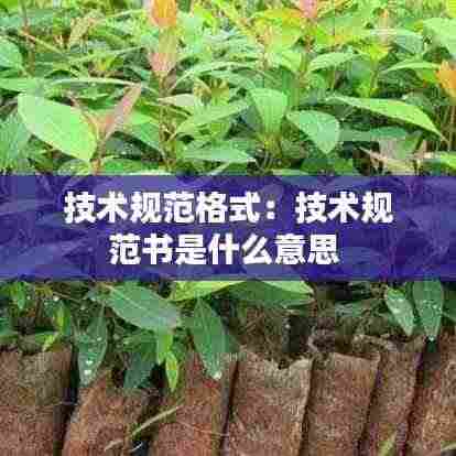 技术规范格式：技术规范书是什么意思 