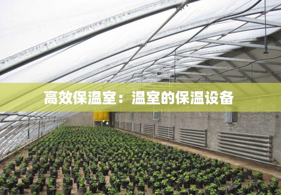 高效保温室：温室的保温设备 